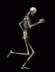 esqueleto03.gif